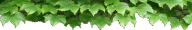 タイトルイメージ