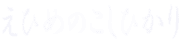 えひめのこしひかり