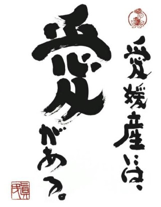 えひめのお米白米